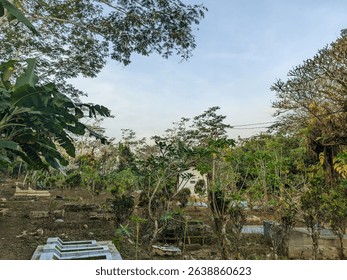 A rural cemetery scene surrounded by tropical trees and wild vegetation. The atmosphere is calm and natural, with scattered graves on uneven ground. The clear sky in the afternoon adds a peaceful touc