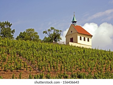 Rural chapel and vineyard. - Shutterstock ID 156436643