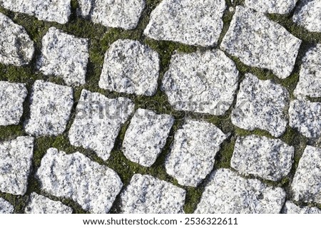 Rural cobblestone path texture. Rugged stones. Outdoor park walkway on natural soil. Marble stone pieces with earthy joints. Village pathway countryside strolls.