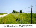 Rural country dirt road with barbed wire fence along green pasture under blue summer sky. Rustic agricultural landscape with shallow depth of field focusing on fence post.