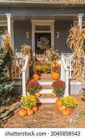 Rural Country Home With Porch Decorated For Halloween With Pumpkins, Corn Stalks And Chrysanthemums.