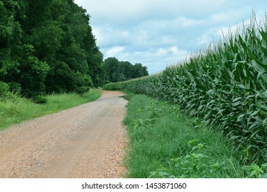 Rural Countryside On The Floodplains Of The Mississippi River.