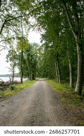 Rural cycle path through the forests and landscapes of southern Denmark