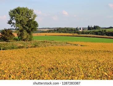      Rural Dane County Wisconsin In Fall     