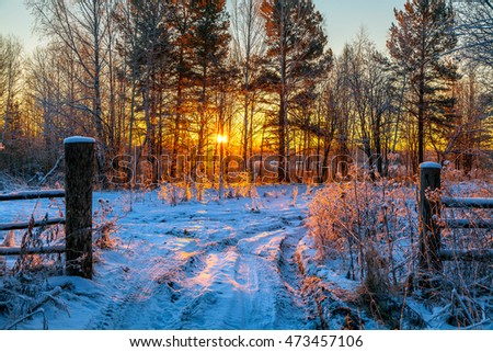 Rural dawn.