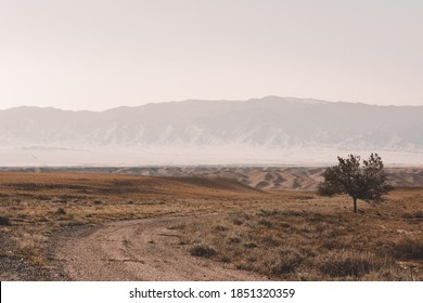 Rural desert road in desert mountains through canyon with view of desert mountains under dusty misty sky in Charyn canyon. Charyn National Park in Kazakhstan. Lonely tree in desert mountains - Powered by Shutterstock