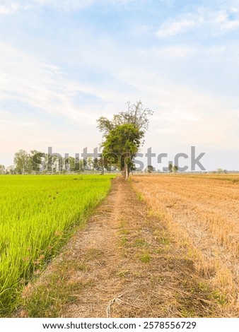 Similar – Image, Stock Photo divided evening sky with wind farm