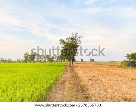 Similar – Image, Stock Photo divided evening sky with wind farm