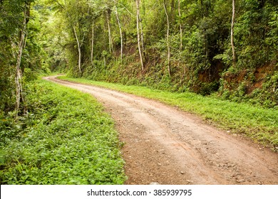 Rural Dirt Road In The Forest