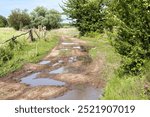 Rural dirt road with lots of muddy puddles. Broken dirt road with puddles after rain