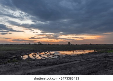 A rural dirt road with a muddy puddle reflecting the orange and pink hues of the setting sun. The sky is a mix of dark clouds and light, fluffy clouds. - Powered by Shutterstock