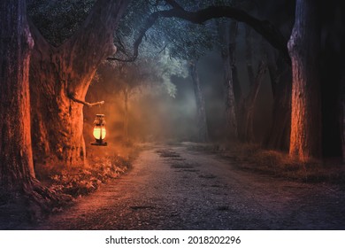 A rural dirt road at night without electricity.