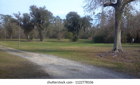 Rural Dirt Road In Southeast Louisiana