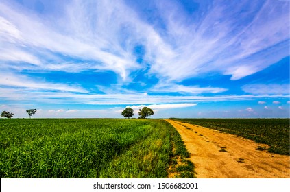 Rural Dust Road Horizon In Agricultural Farm Land Field Country