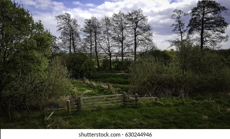 Rural East Anglia UK