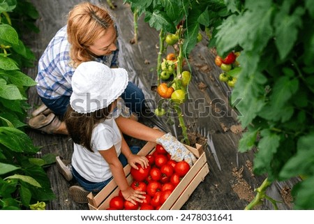 Similar – Image, Stock Photo Children and senior woman putting apples inside of wicker baskets