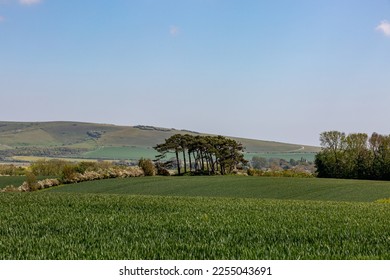 A rural farm landscape in the South Downs on a sunny late spring day - Shutterstock ID 2255043691
