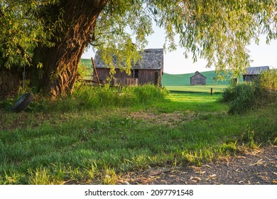 Rural Farm Scene Viewed From Palouse In Washington State On A Sunny Morning