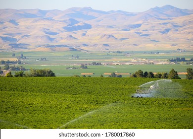 Rural farmland in the Treasure Valley outside of Boise, Idaho