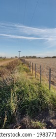 Rural Fencing Separates A Harvested Soybean Field From A Road