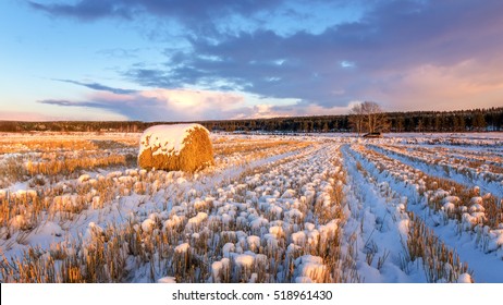 rural field with cut grass, a haystack and the first snow, Russia, Ural autumn - Powered by Shutterstock