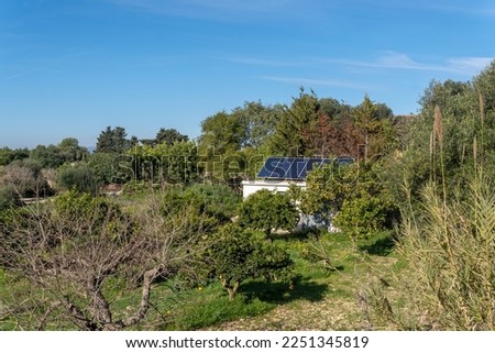 Rural field of organic orange trees, Citrus sinensis, with a rural hut with a photovoltaic panel to generate ecological energy for self-consumption, on a sunny morning. Island of Mallorca, Spain