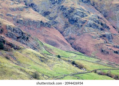 Rural Foothills, Lake District, UK