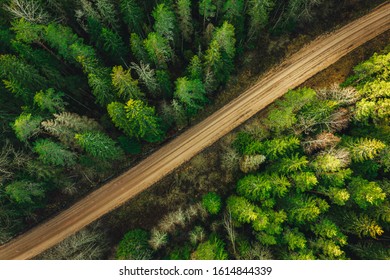 Rural Forest Road From Above Surrounded With Green Pine Tree Forest Aerial View.