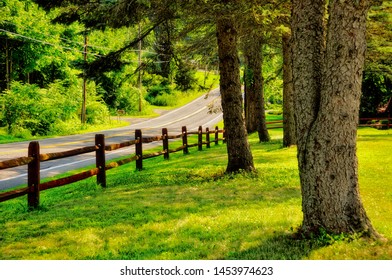 Rural Forest Road In Upstate New York