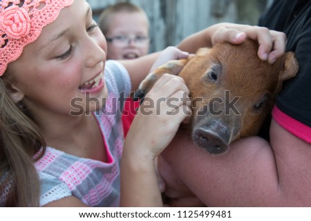 Similar – Image, Stock Photo Piglet in happiness Nature