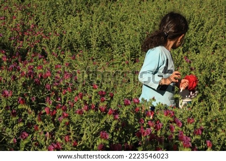 a rural girl picking flowers and looking back in a wild flower field near village