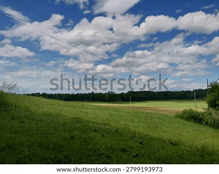 rural grass feilds 
with tree line and simpson like sky. powerlines stretch across the sky