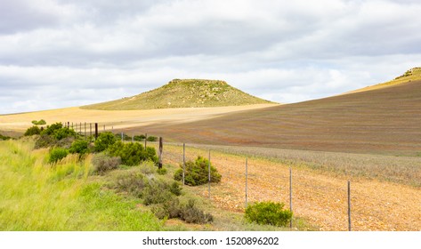 Rural Grassland Farming Area Of The Karoo Semi-desert In South Africa