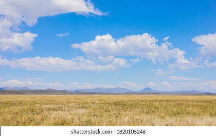 Rural Grassland Farming Area of the Karoo Semi-desert in South Africa