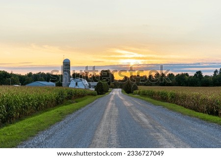Rural gravel road, farm, sunset, Quebec, Canada