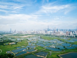 Rural Green Fields With Fish Ponds Between Hong Kong And Skylines Of Shenzhen,China