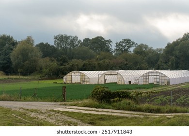 Rural greenhouses on a farm surrounded by green fields and trees on a cloudy day. Concept of agriculture, sustainability and organic farming. High quality photo - Powered by Shutterstock