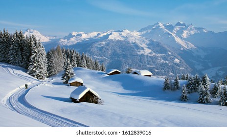 rural house in winter covered with snow. landscape with village home near forest. building of a wooden house. concept of countryside recreation in nature