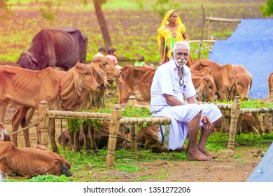 Rural India , Indian farmer - Shutterstock ID 1351272206