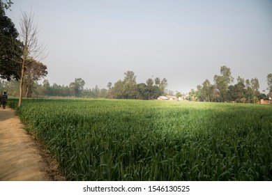 Rural India Trip To Pilibhit Village