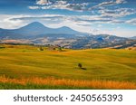 Rural Italian countryside. Stunnig summer view of green pasture in Italy, Europe. Beauty of countryside concept background.