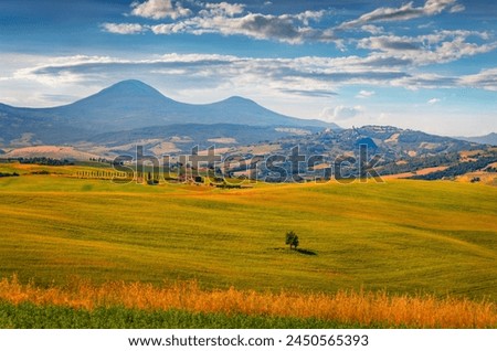 Rural Italian countryside. Stunnig summer view of green pasture in Italy, Europe. Beauty of countryside concept background.
