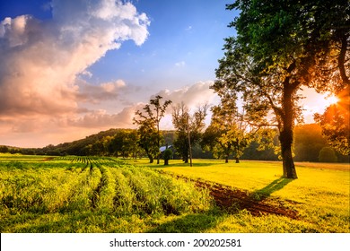 Rural Kentucky Sunset