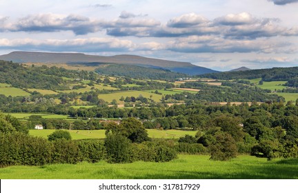 Rural Landscape In Brecon, Powys  Wales