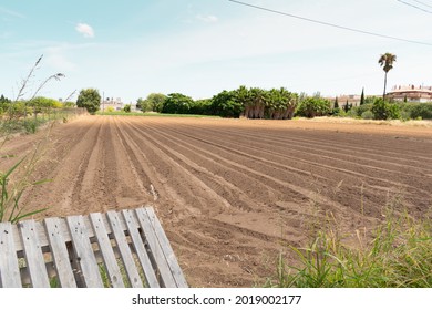 Rural Landscape With A Cloudy Sky Background. Beautiful Field In The Middle Of Nowhere, Farming View