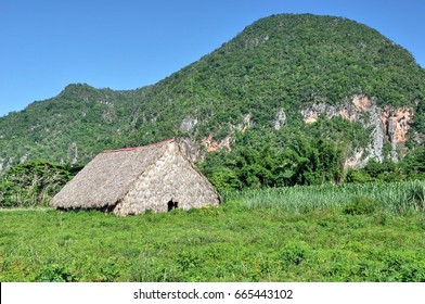 Rural Landscape In Viñales, Cuba