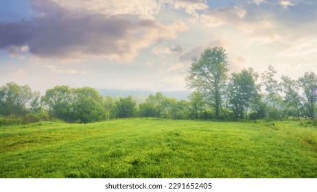 rural landscape with deciduous trees and grassy field. distant forest beneath a cloudy sky. foggy morning weather - Shutterstock ID 2291652405