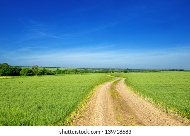 Rural landscape with dirt road between green fields