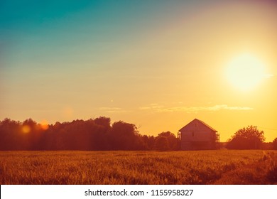 Rural landscape in evening at sunset. Silhouette of village against beautiful gradient evening sky - Powered by Shutterstock