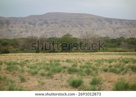 Rural landscape featuring a field with sparse green shrubs and dry grass, a dense line of trees by the riverbed, and arid, erosion scarred mountains under a cloudy sky